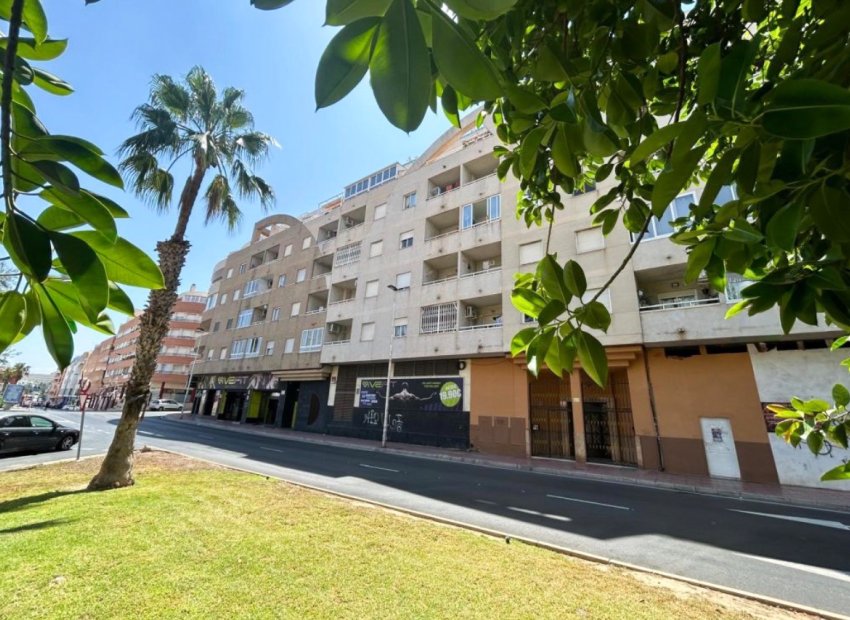 Resale - Apartments - Flats - Torrevieia - Center