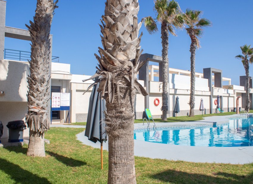 Resale - Apartments - Flats - Torrevieia - La Mata