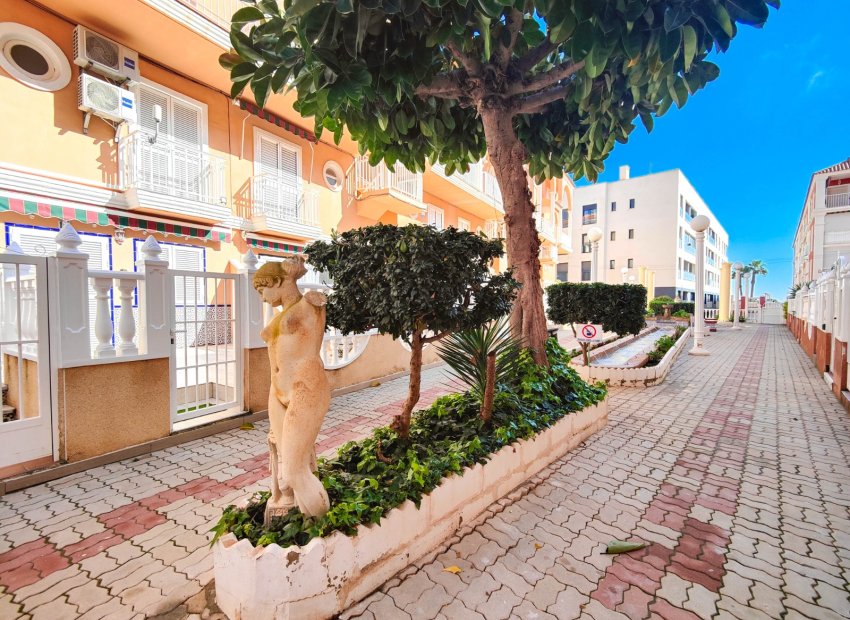 Resale - Apartments - Flats - Torrevieia - La Mata