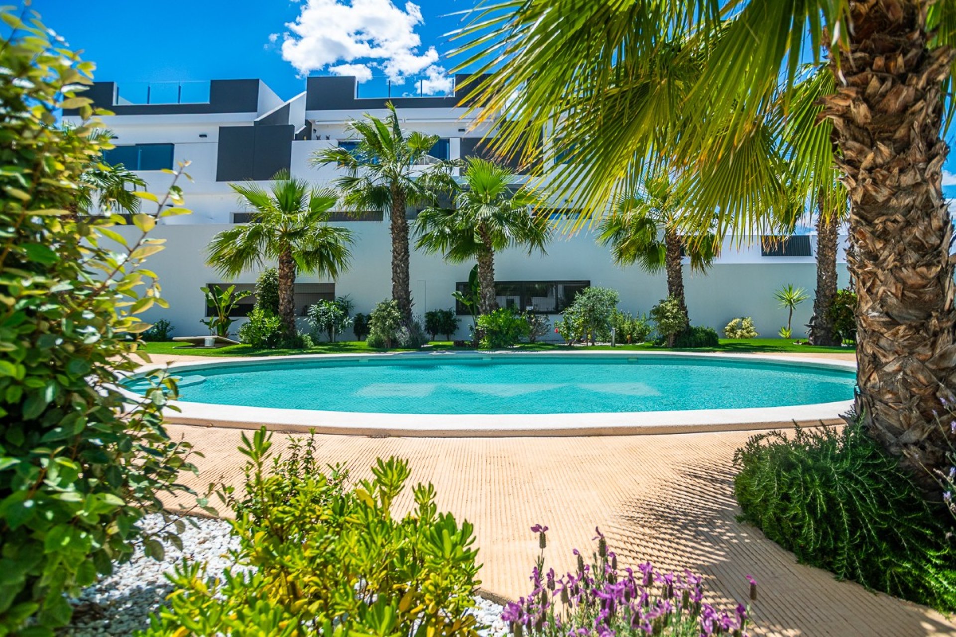 Resale - Apartments - Flats - Torrevieia - LOS BALCONES - LOS ALTOS