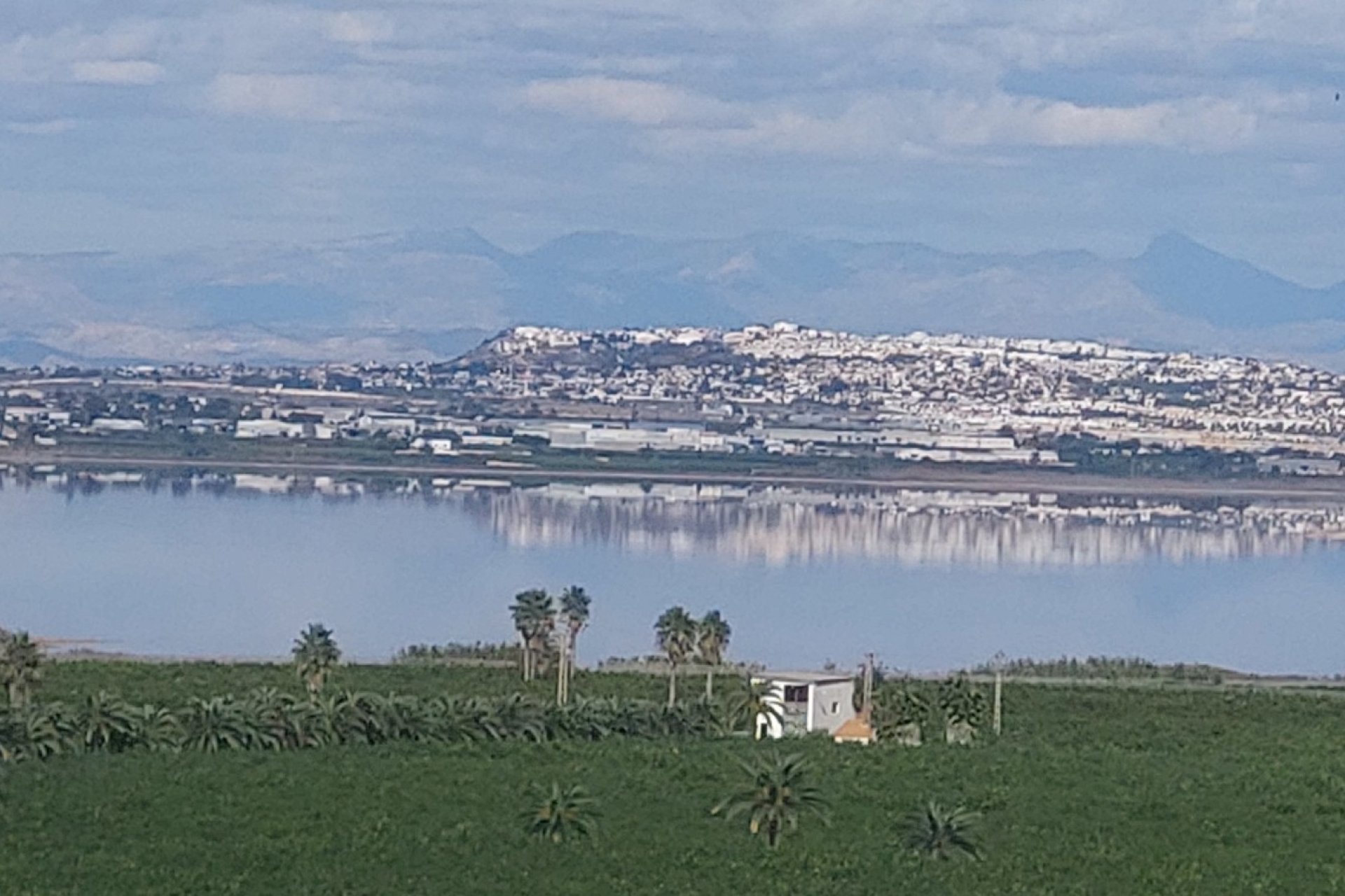 Resale - Apartments - Flats - Torrevieia - Los Balcones