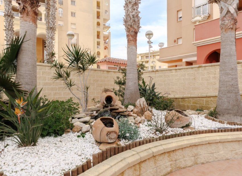 Resale - Apartments - Flats - Torrevieia - Playa Los Locos