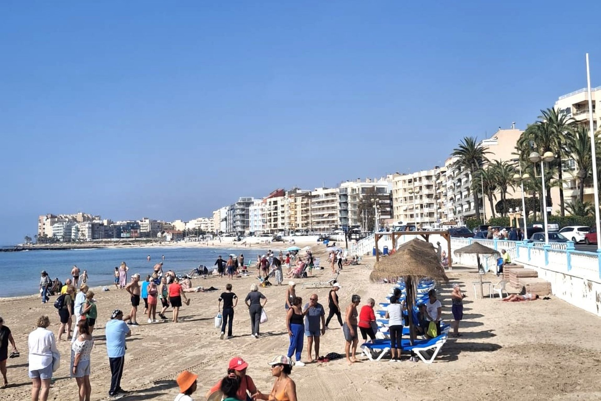 Resale - Apartments - Flats - Torrevieia - Playa Los Locos