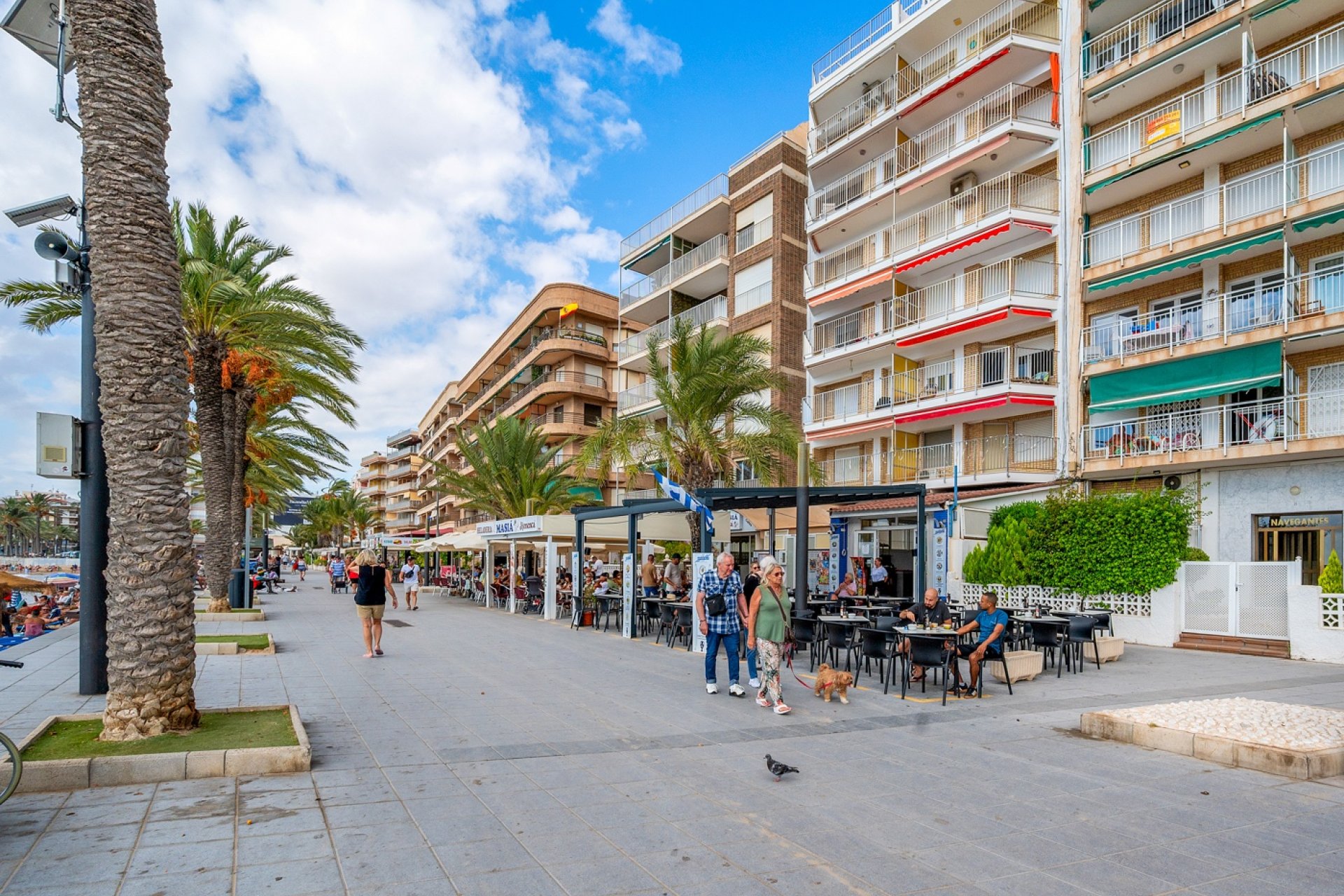 Resale - Apartments - Flats - Torrevieia - Torrevieja