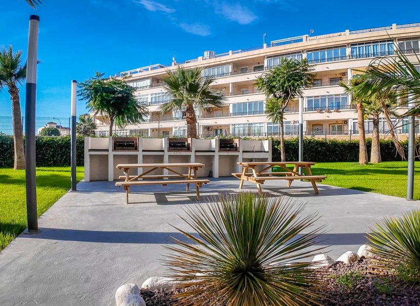 Resale - Apartments - Flats - Torrevieia - Torrevieja