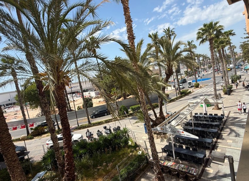 Resale - Apartments - Flats - Torrevieia - Torrevieja