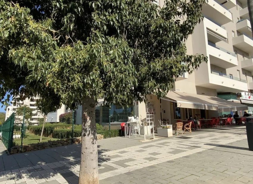 Resale - Commercial - Marbella - Nueva Andalucía