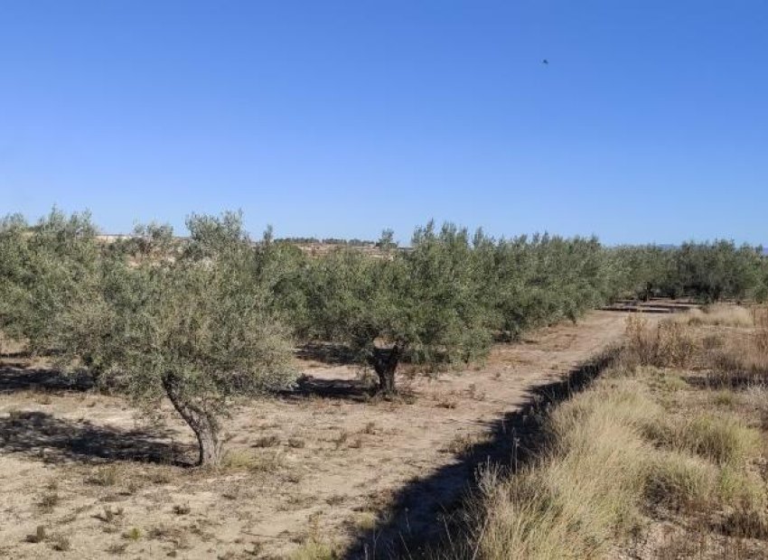 Resale - Country House - Agullent