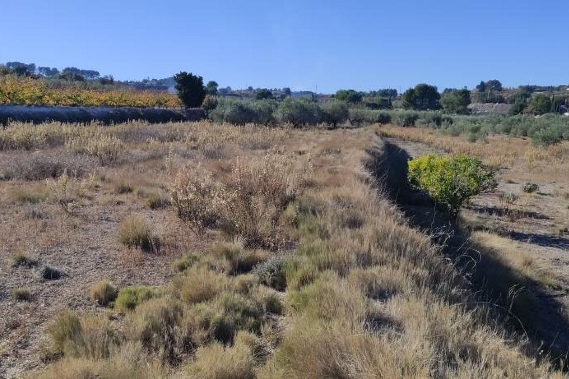 Resale - Country House - Agullent