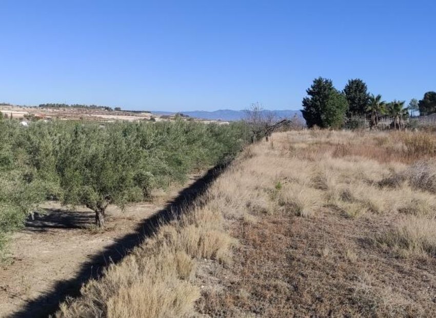 Resale - Country House - Agullent