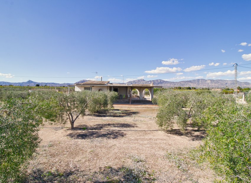 Resale - Country House - Albatera