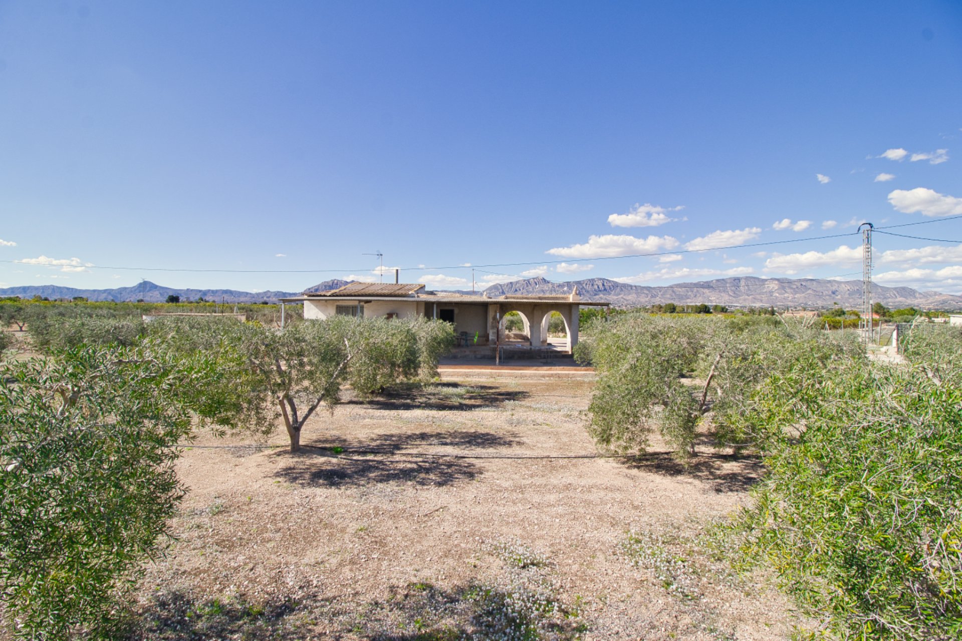 Resale - Country House - Albatera