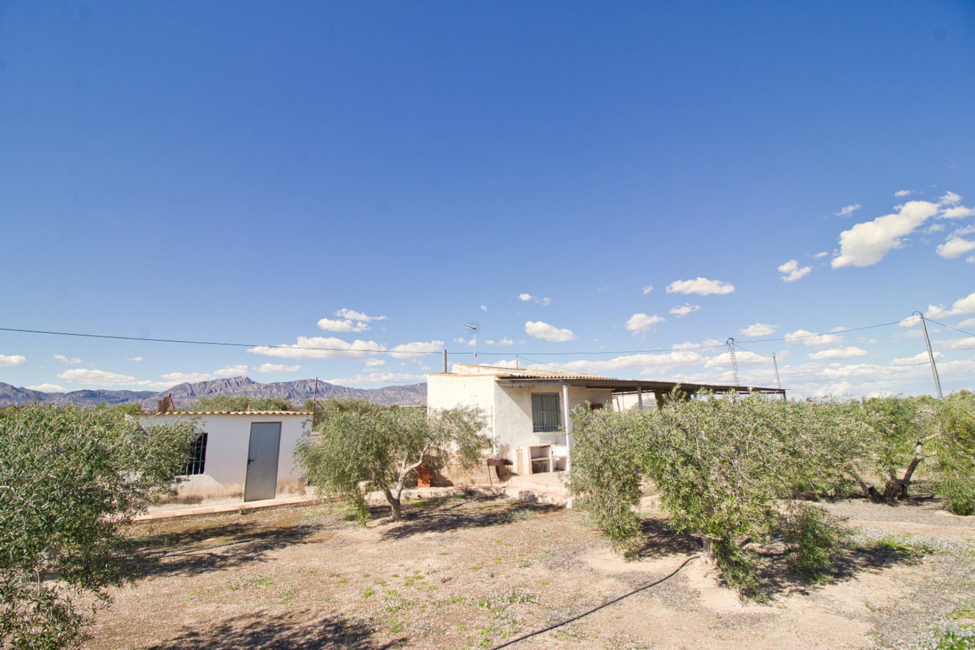 Resale - Country House - Albatera