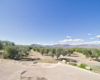 Resale - Country House - Albatera