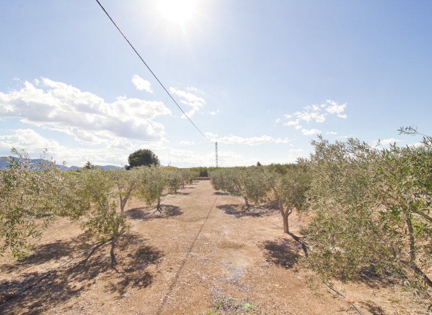 Resale - Country House - Albatera