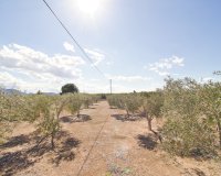 Resale - Country House - Albatera