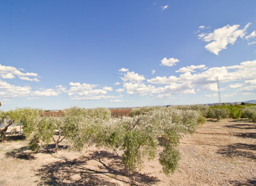 Resale - Country House - Albatera