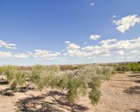 Resale - Country House - Albatera