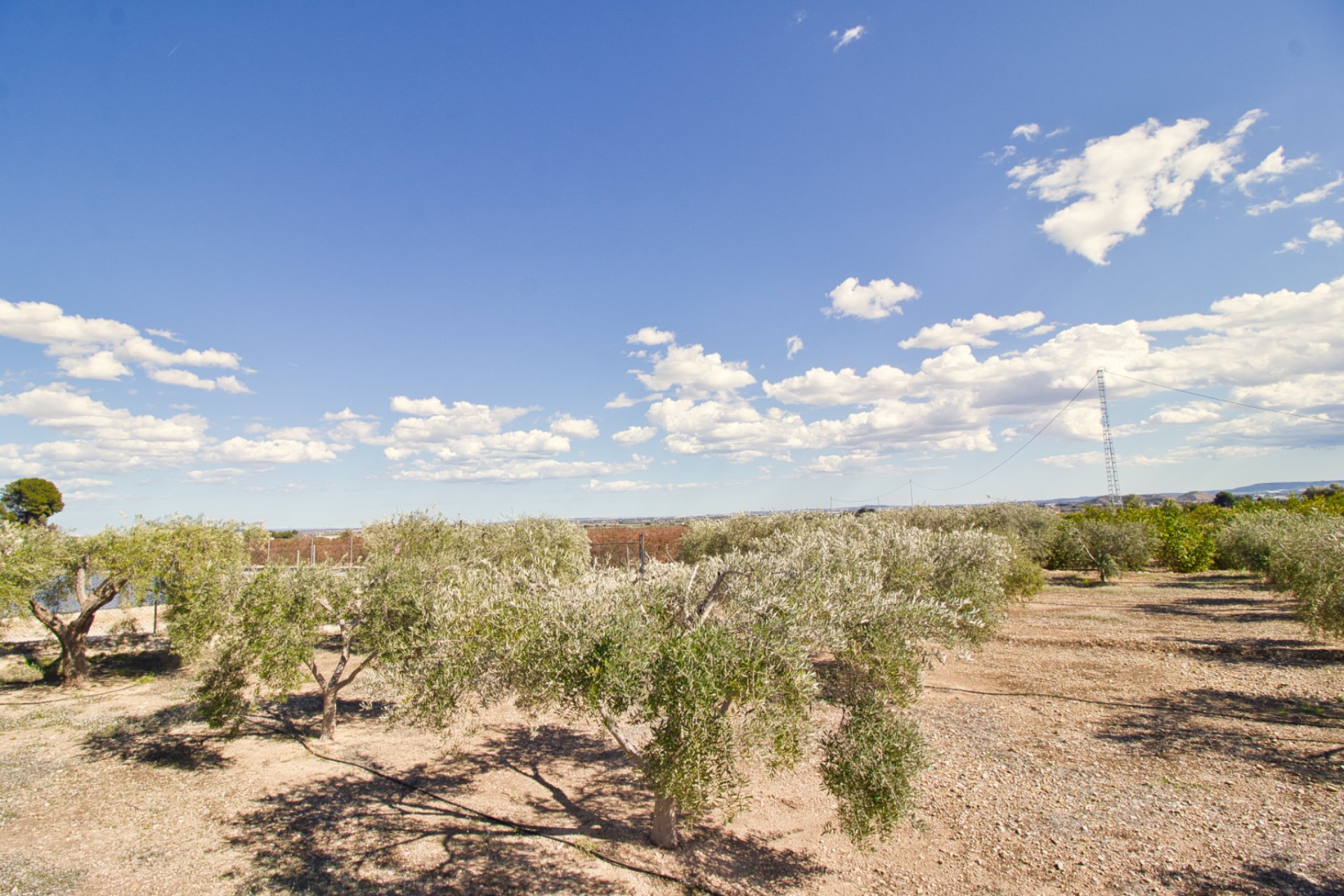 Resale - Country House - Albatera