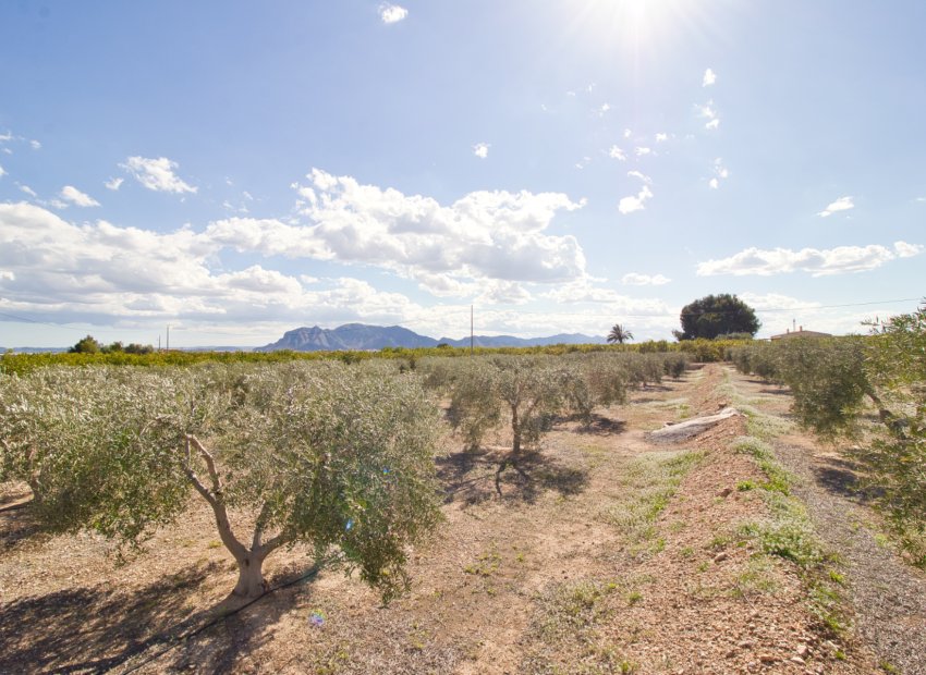 Resale - Country House - Albatera