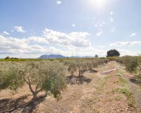 Resale - Country House - Albatera