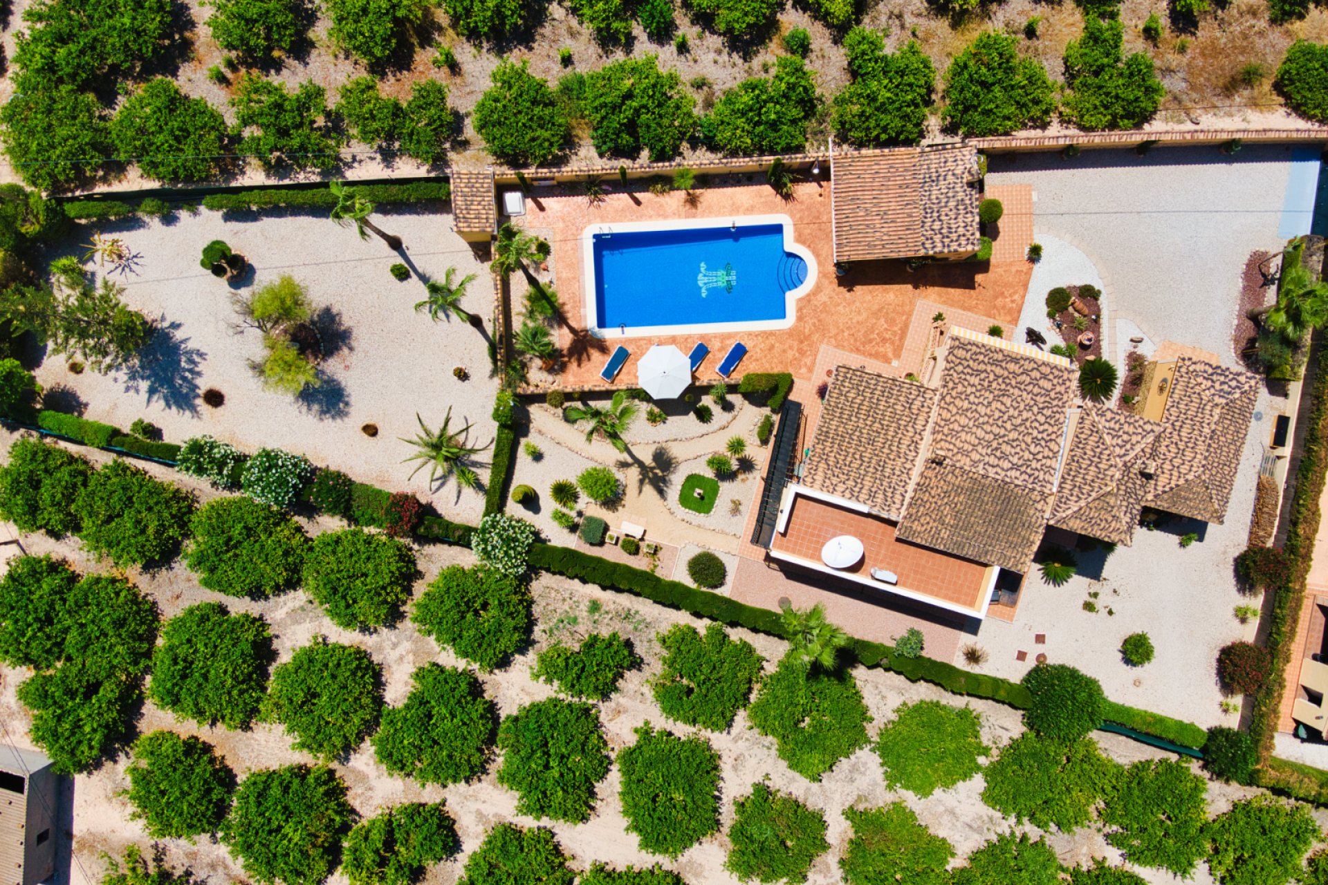 Resale - Country House - Albatera