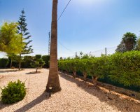 Resale - Country House - Albatera