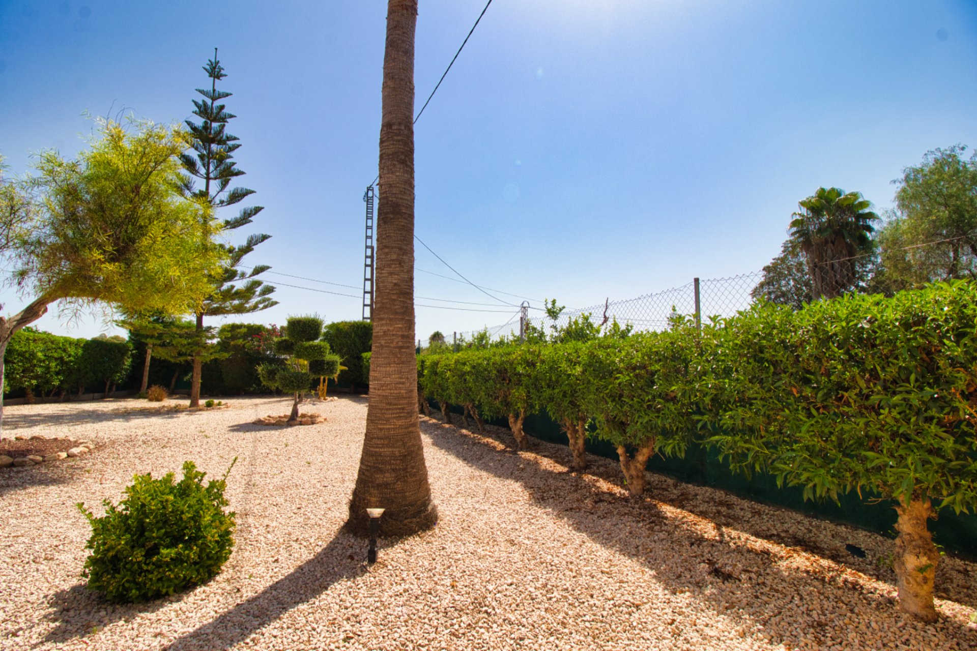 Resale - Country House - Albatera