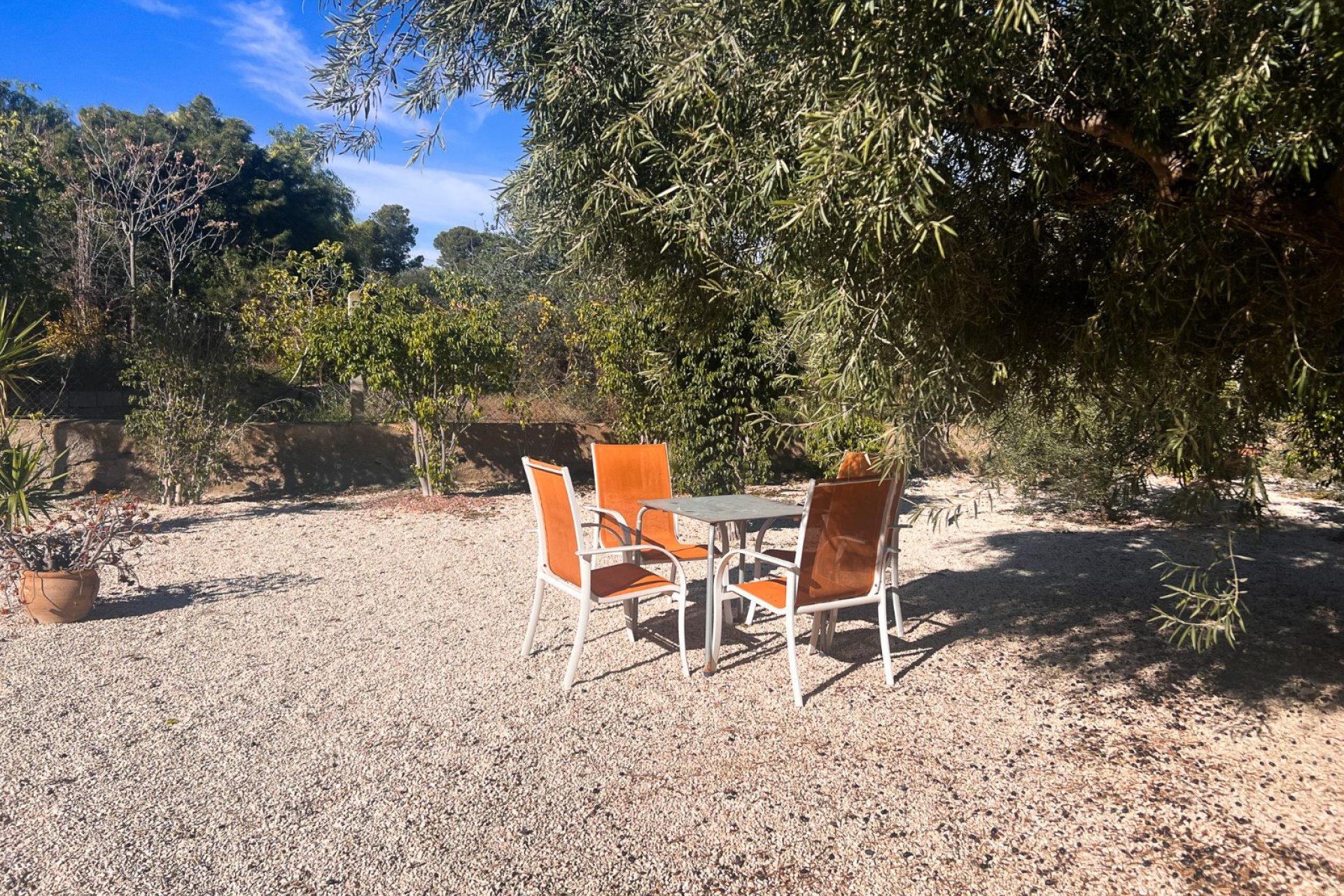 Resale - Country House - Alicante - Moralet - Cañada del Fenollar