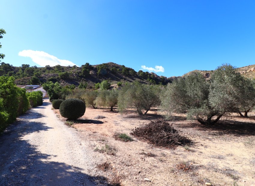 Resale - Country House - Aspe - Aspe - Country