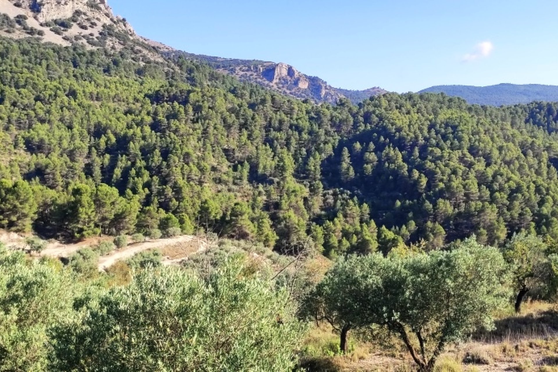 Resale - Country House - Benasau