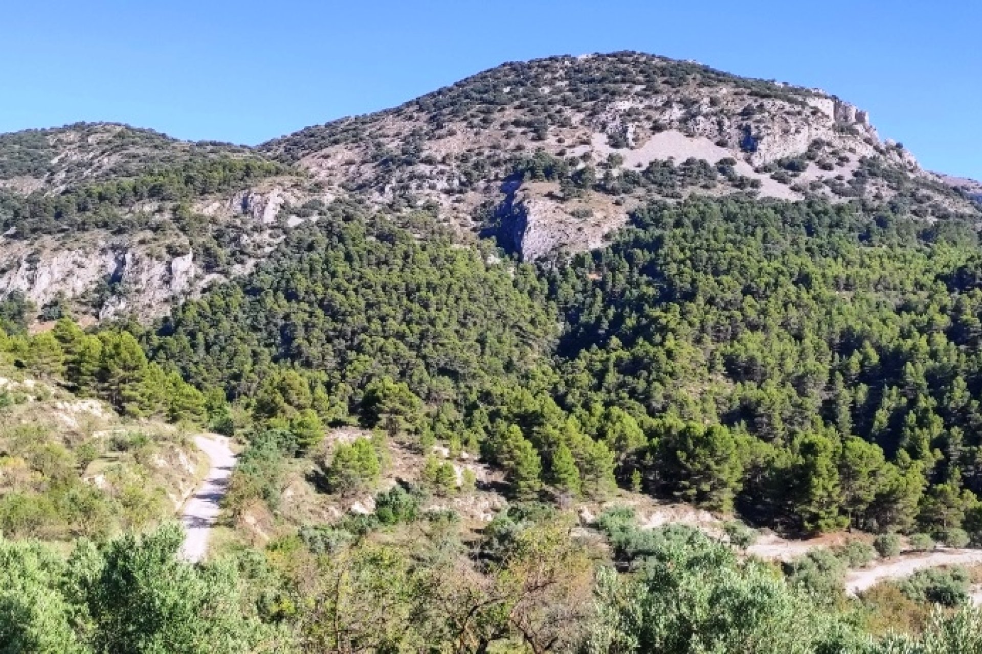 Resale - Country House - Benasau