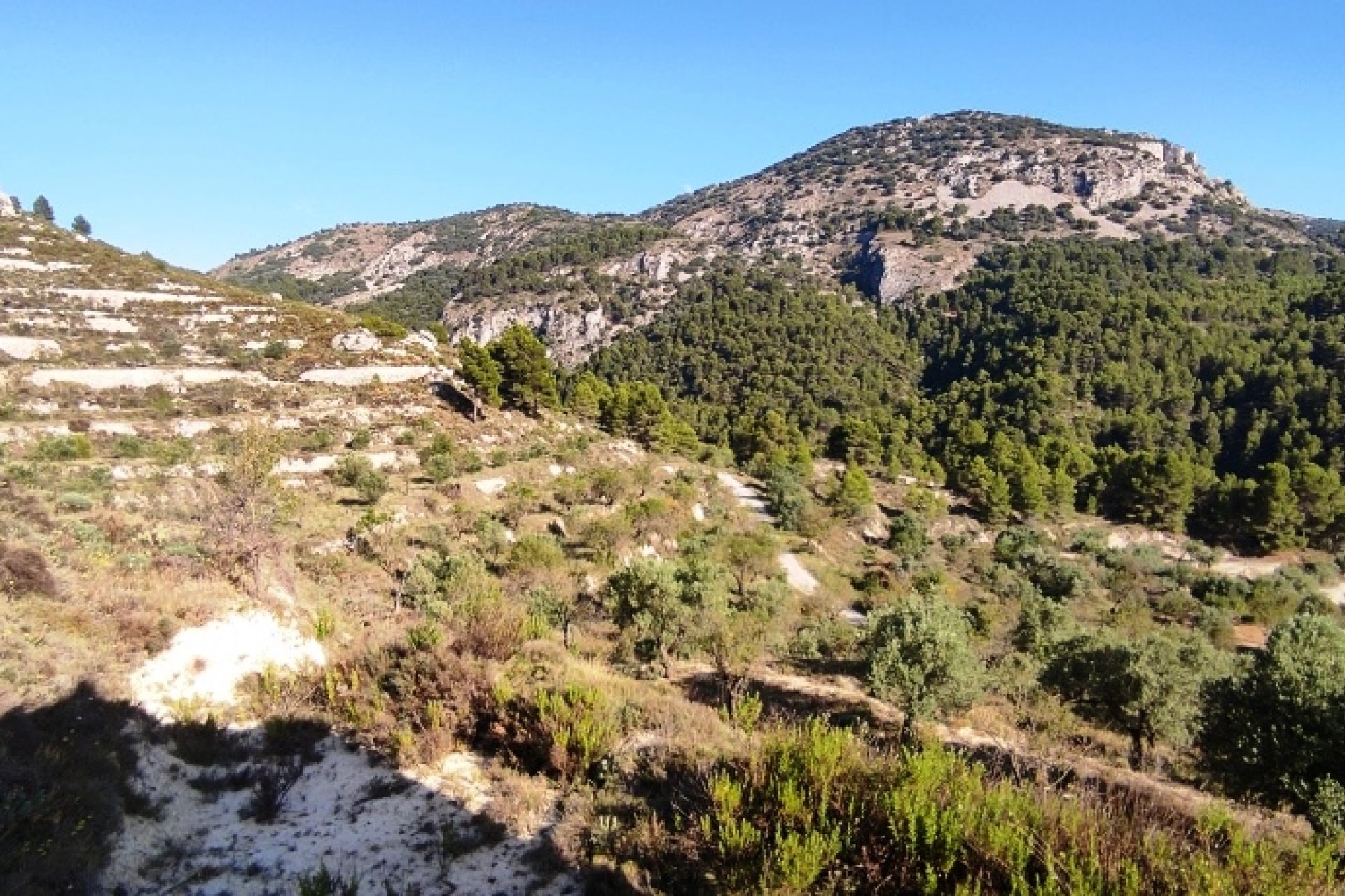 Resale - Country House - Benasau