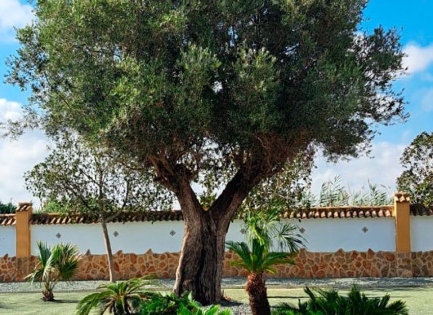 Resale - Country House - Catral - Catral - Country