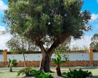 Resale - Country House - Catral - Catral - Country