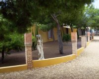 Resale - Country House - Ciudad Quesada - Lo Pepin