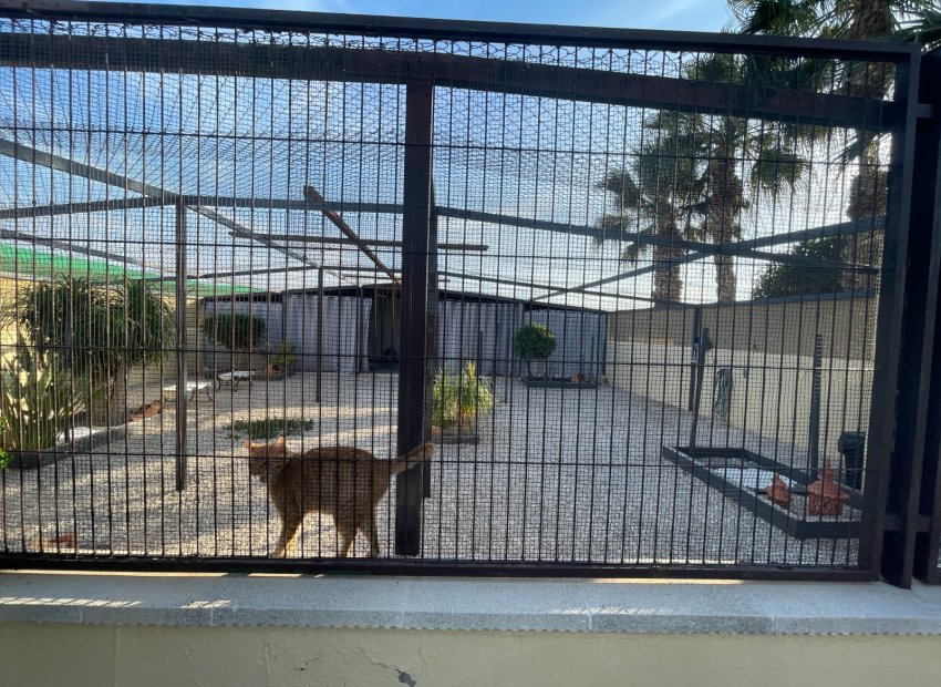 Resale - Country House - Elche - Las Bayas