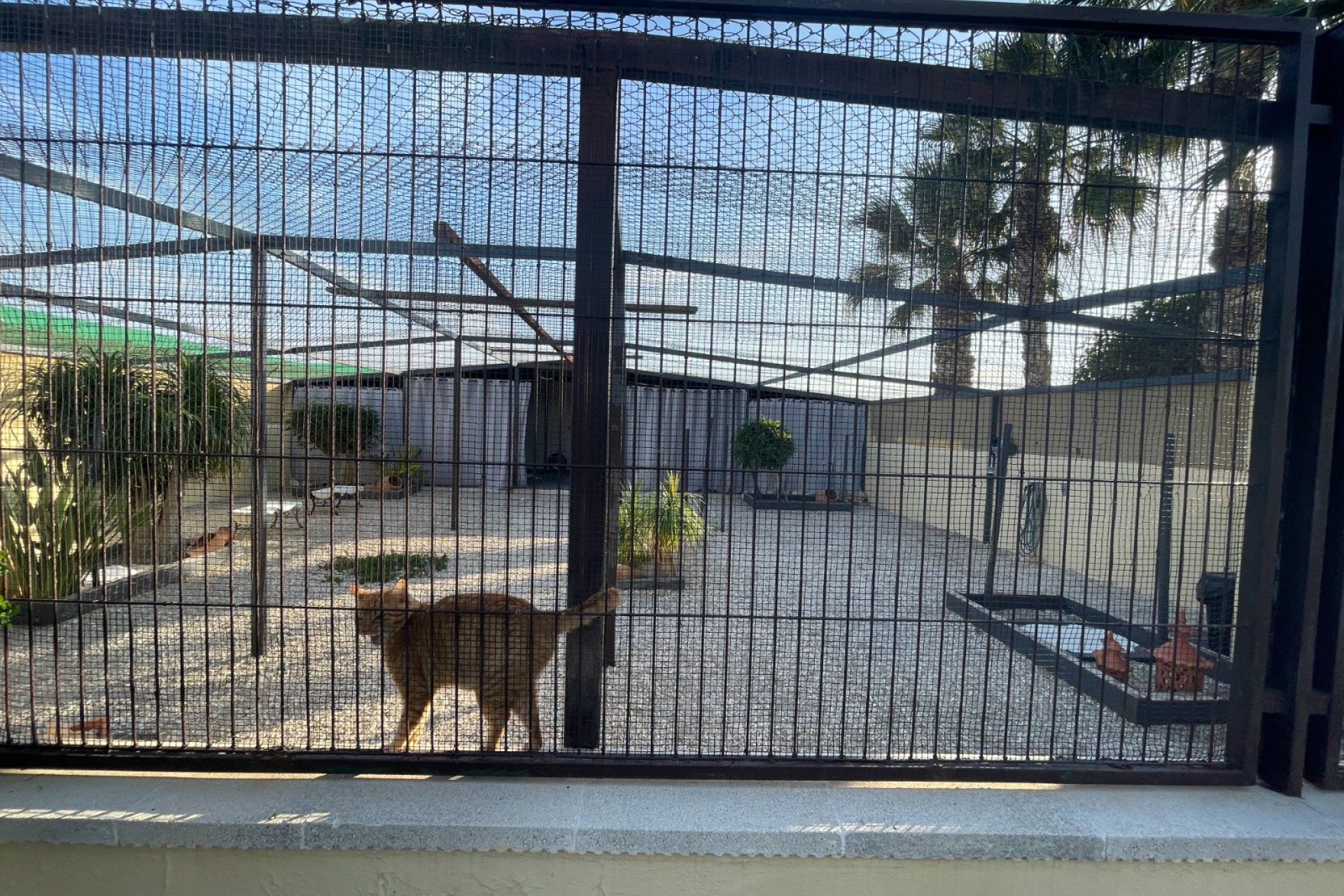 Resale - Country House - Elche - Las Bayas