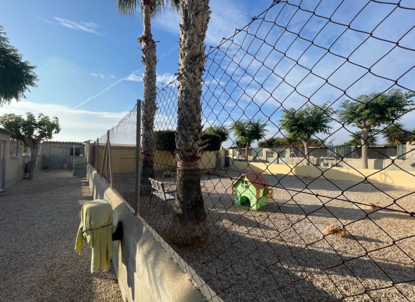 Resale - Country House - Elche - Las Bayas