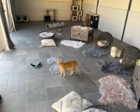 Resale - Country House - Elche - Las Bayas