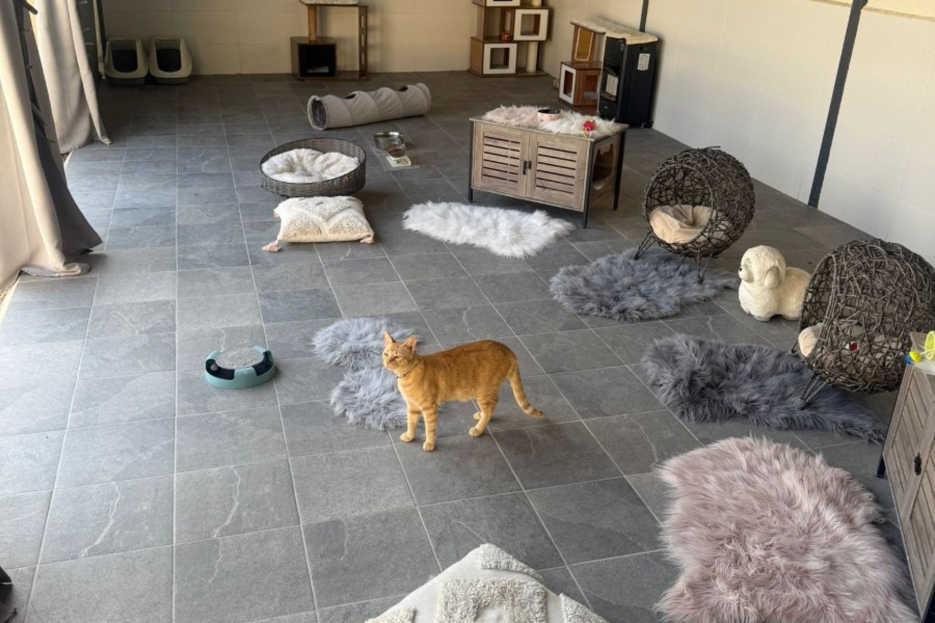 Resale - Country House - Elche - Las Bayas