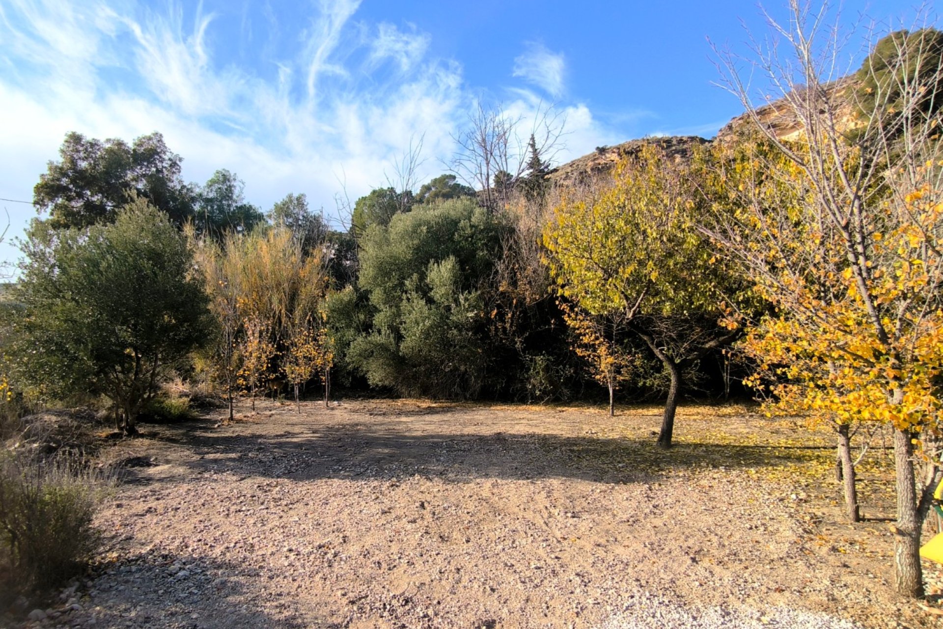 Resale - Country House - Fortuna