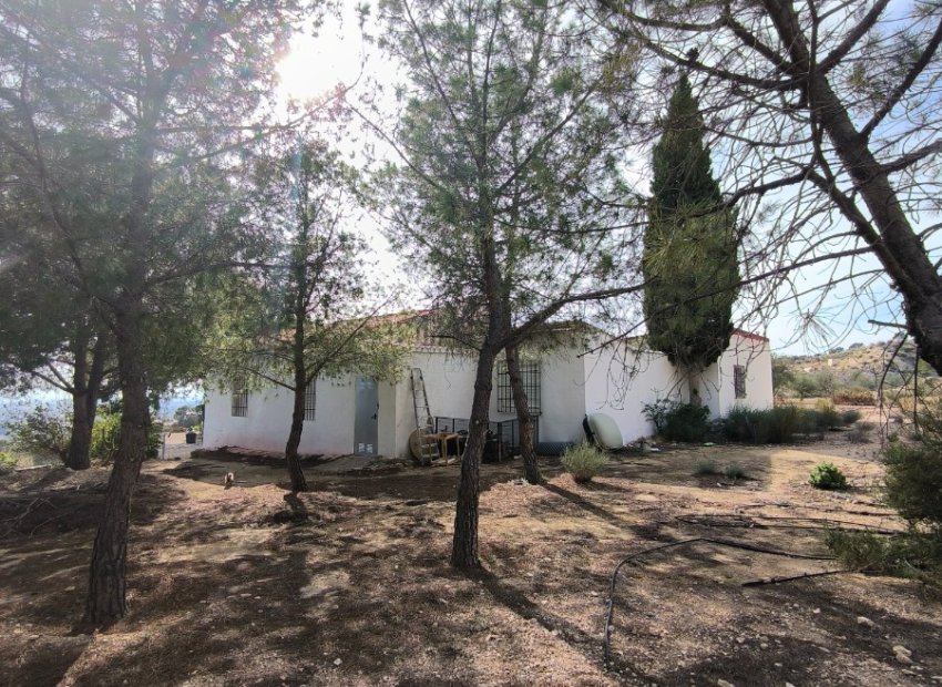 Resale - Country House - Fortuna