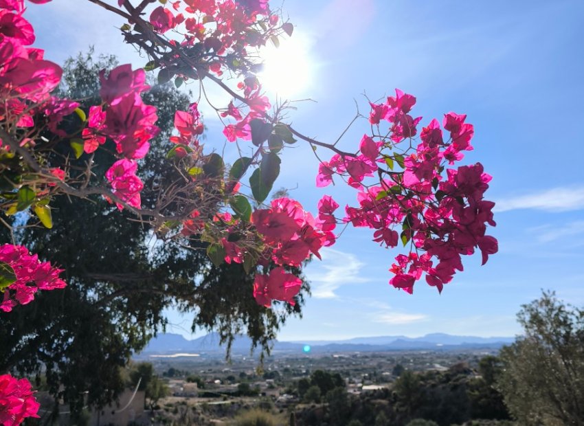 Resale - Country House - Fortuna