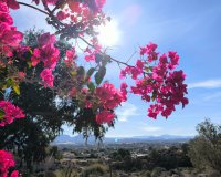 Resale - Country House - Fortuna