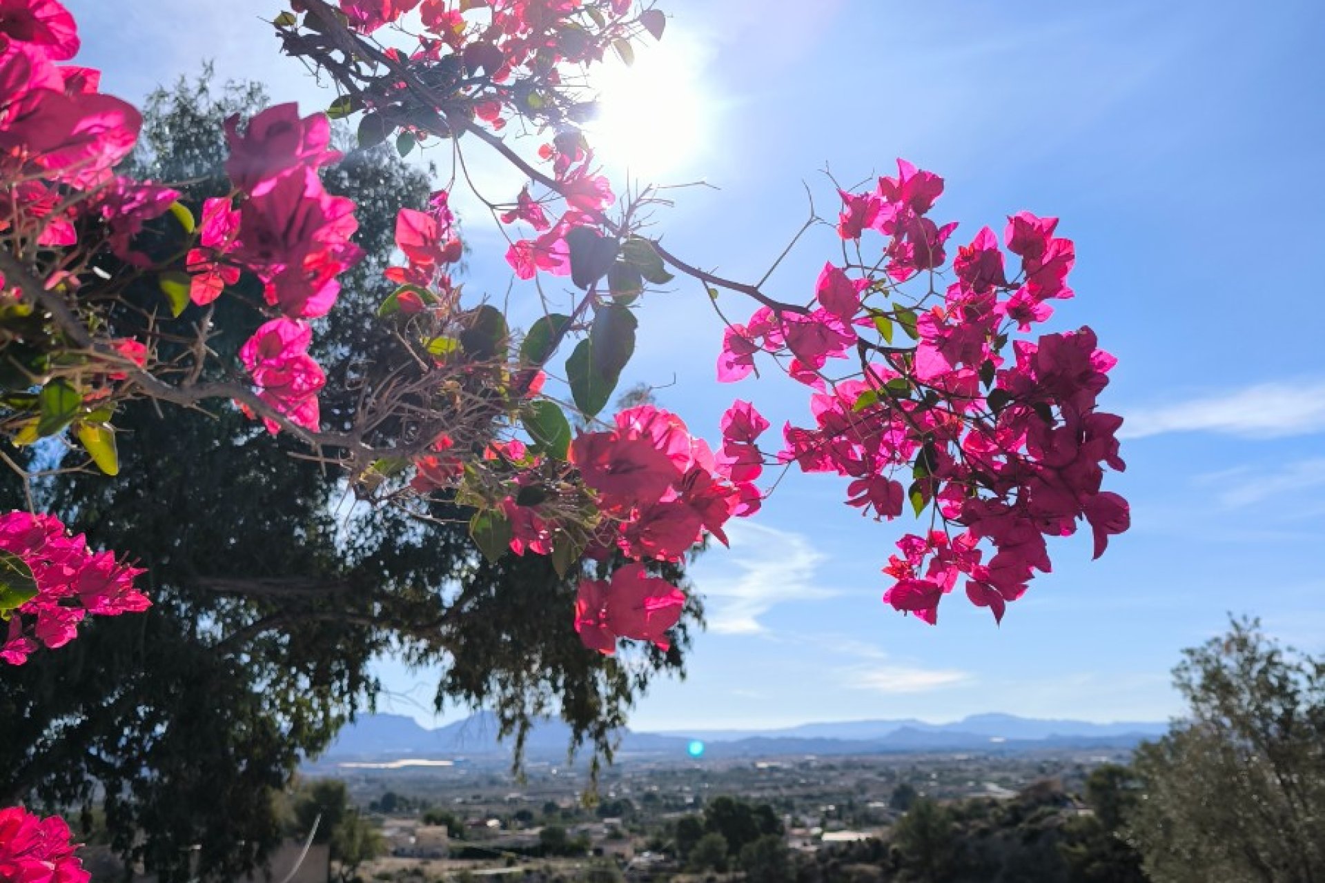 Resale - Country House - Fortuna