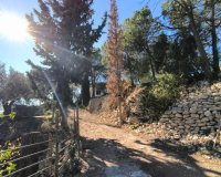 Resale - Country House - Fortuna