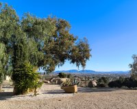 Resale - Country House - Fortuna