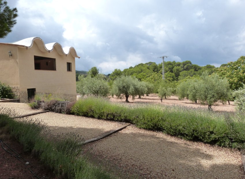 Resale - Country House - Ibi - Ibi - Country