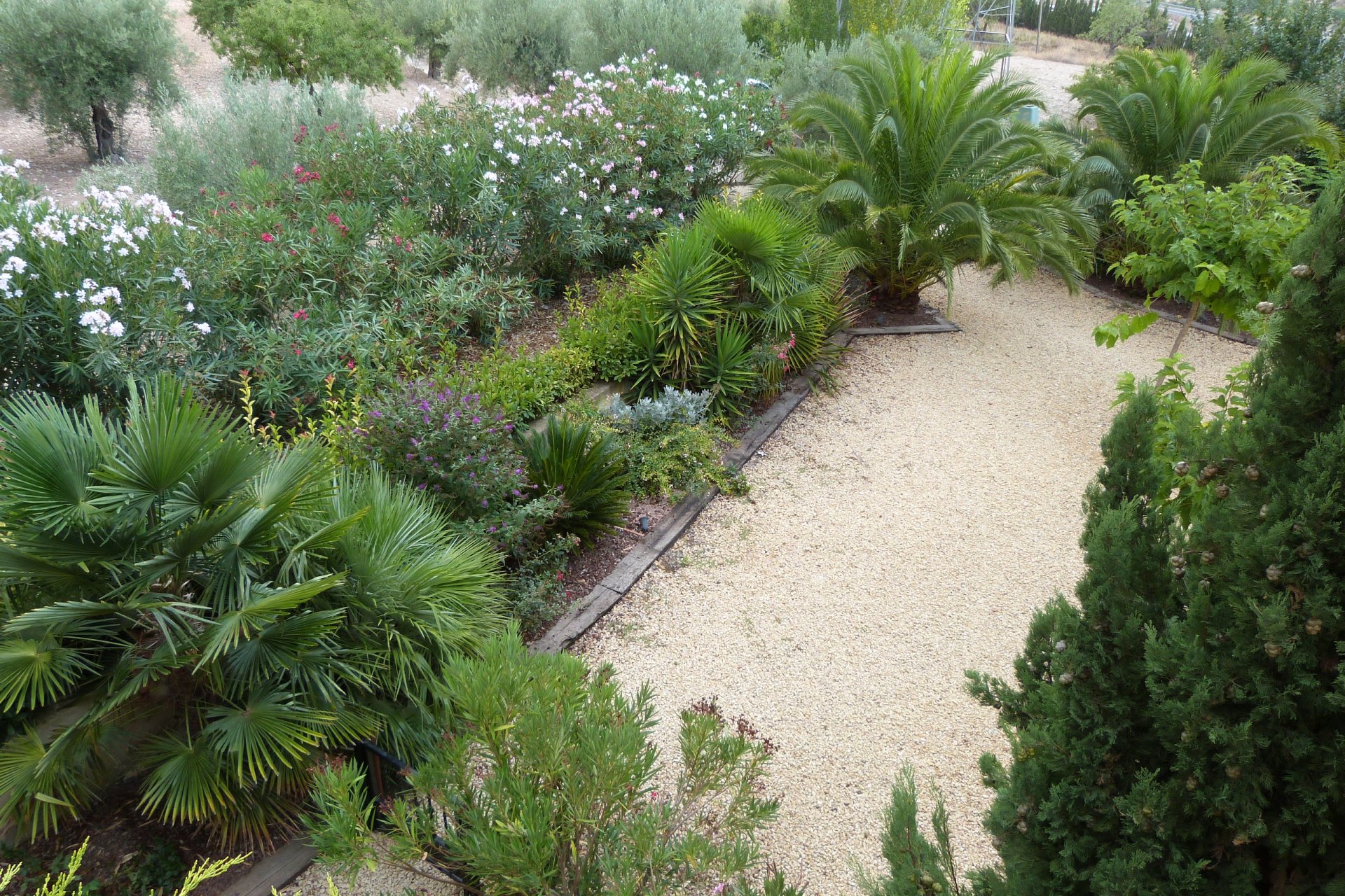 Resale - Country House - Ibi - Ibi - Country